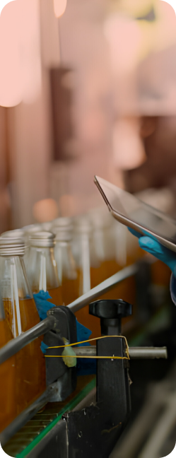 Fast Moving Consumer Goods (FMCG)